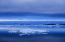 Paulet Island