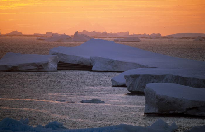 Peterman Island